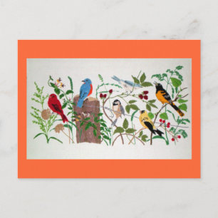 Vögel Postkarte