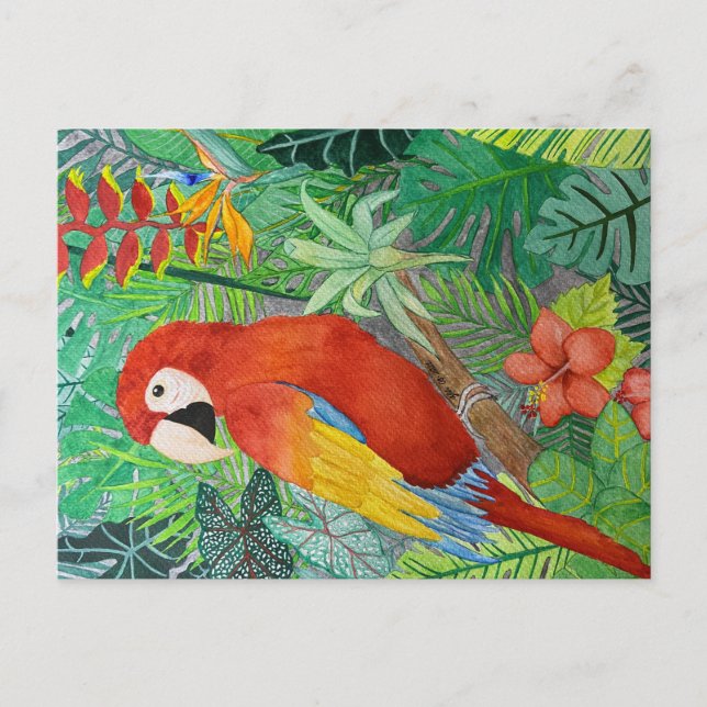 Vogel Print Postcard Postkarte (Vorderseite)