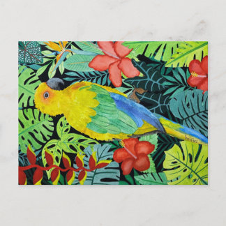 Vogel Print Postcard Postkarte