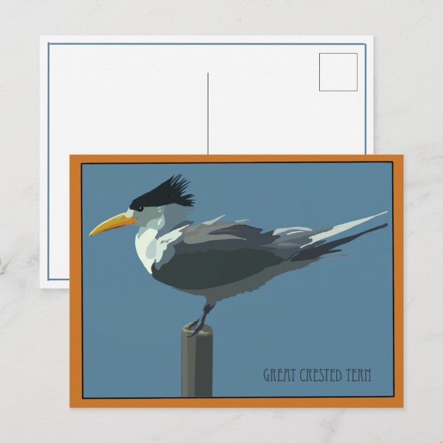 Vogel--Ried-Seeschwalbe Postkarte (Vorne/Hinten)