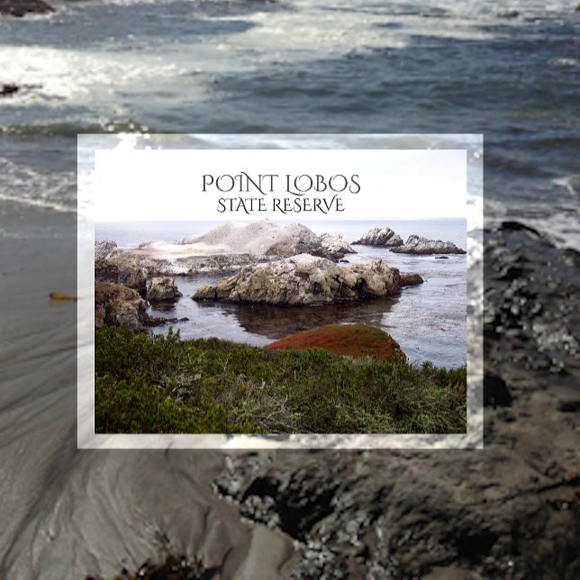 Vogel Rock, Point Lobos Staat Reserve Postkarte (Von Creator hochgeladen)