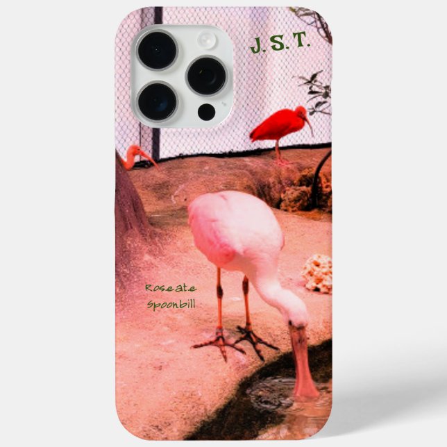 Vogel-Rose-Spoonbill iPhone/iPad-Gehäuse Case-Mate iPhone Hülle (Rückseite)
