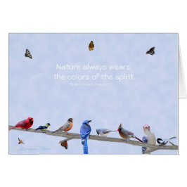 Vögel & Schmetterlinge tragen Farben des Geistes: