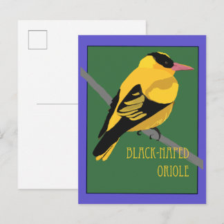 Vogel - Schwarznackenpirol Postkarte