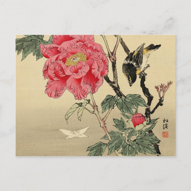 Vögel sehen Schmetterling Postkarte (Vorderseite)