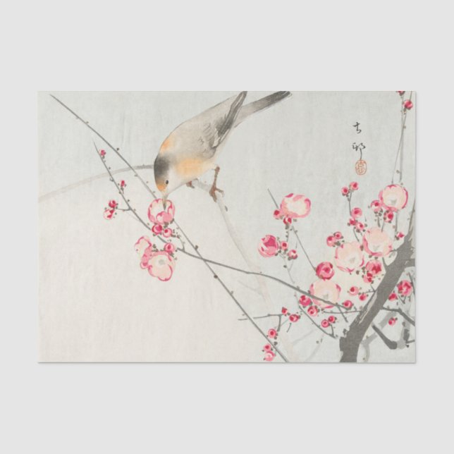 Vogel-Seidenpapier Seidenpapier (Vorderseite)