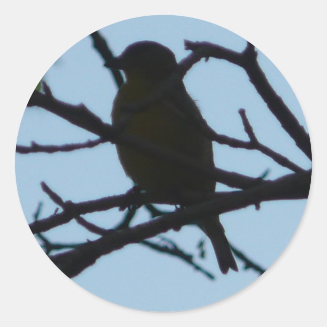 Vogel, Silhouette Runder Aufkleber (Vorderseite)