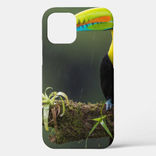 Vögel sind die einzigen Tiere mit Federn 2 Case-Mate iPhone Hülle