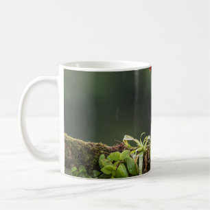 Vögel sind die einzigen Tiere mit Federn 2 Kaffeetasse