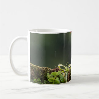 Vögel sind die einzigen Tiere mit Federn 2 Kaffeetasse