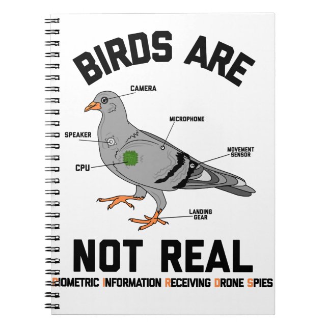 Vögel sind keine echte Spiontaube Funny Drone Notizblock (Vorderseite)