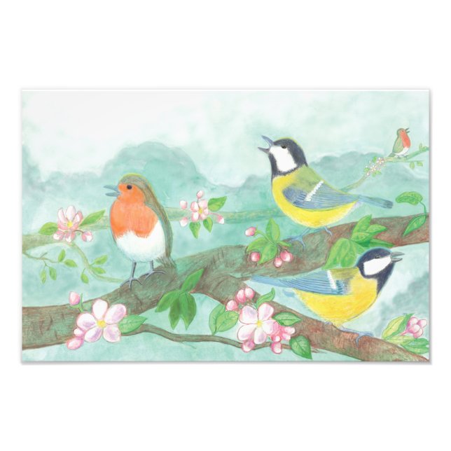 Vögel singen im Frühjahr auf einem blühenden Baumz Fotodruck (Vorne)
