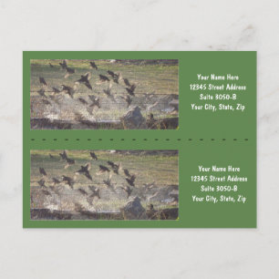Vögel steigende Bookmarkers - Anpassen! Postkarte