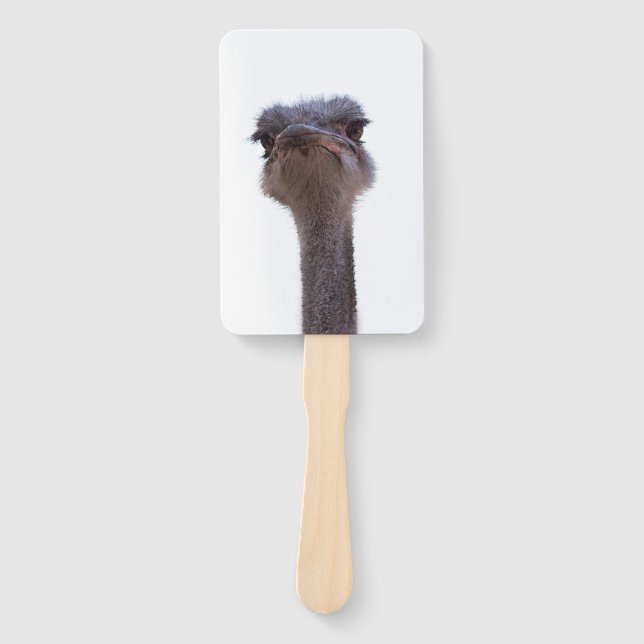 Vogel Strauß Fächer (Vorderseite)