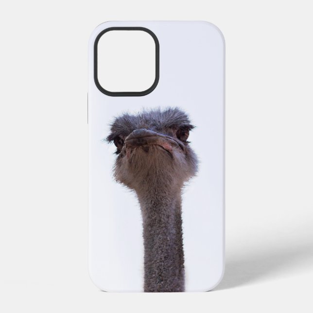 Vogel Strauß iPhone 12 Hülle (Rückseite)