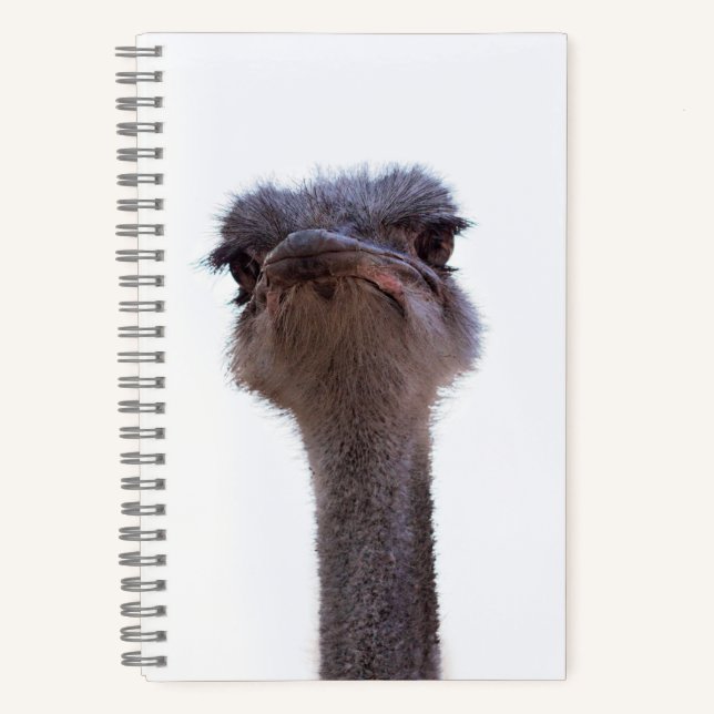 Vogel Strauß Notizbuch (Vorderseite)