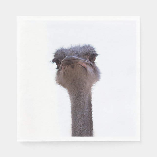 Vogel Strauß Serviette (Vorderseite)