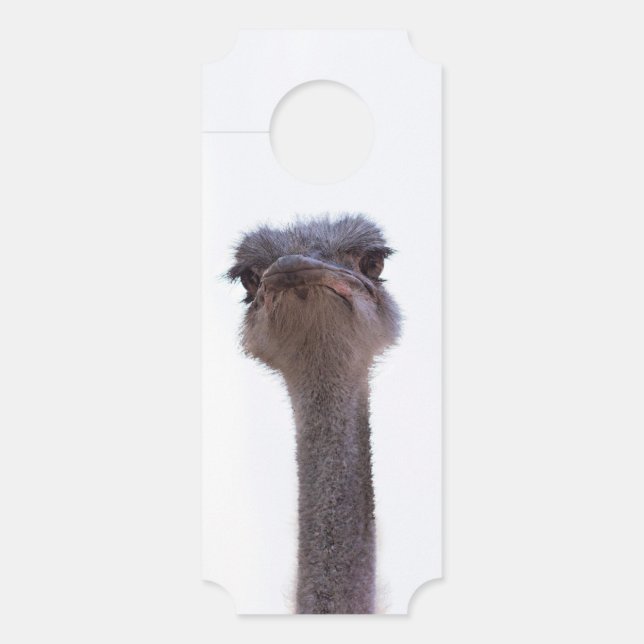 Vogel Strauß Türanhänger (Vorderseite)