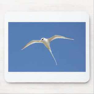Vogel Stroh in Schwanz Mauritius Mousepad