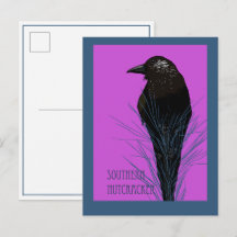 Vogel -- Südlicher Tannenhäher