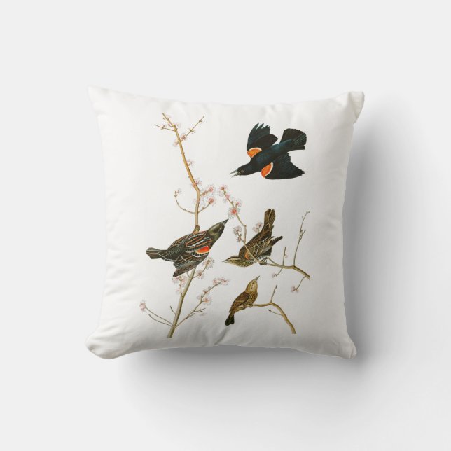 Vögel Sumpf-Amsel-Johns Audubon von Amerika Kissen (Vorderseite)