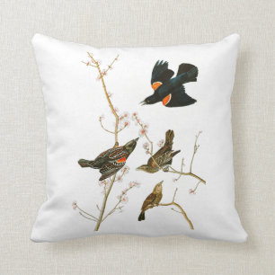 Vögel Sumpf-Amsel-Johns Audubon von Amerika Kissen