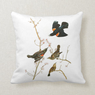 Vögel Sumpf-Amsel-Johns Audubon von Amerika Kissen