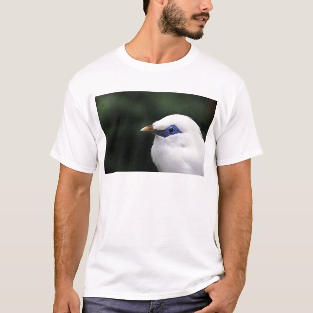 Vögel T-Shirt (Vorderseite)