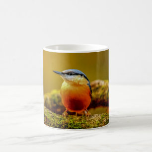 Vogel-Tasse - Kleiber Kaffeetasse