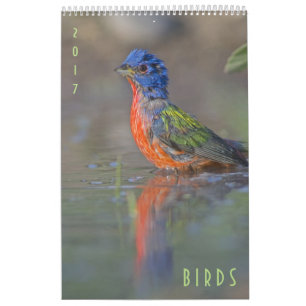 Vogel-Tier-Wandkalender 2017 Kalender