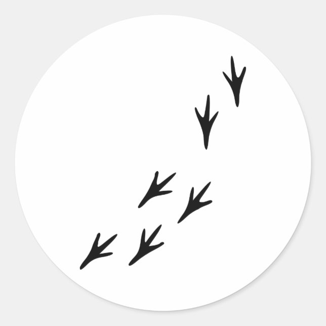 Vögel - Tracks Runder Aufkleber (Vorderseite)