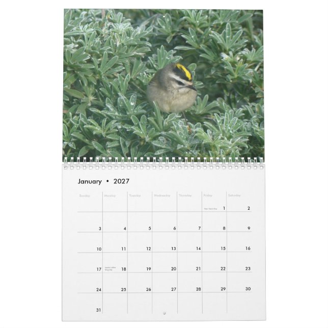 Vögel tragen 2012 ein kalender (Jan 2027)