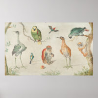 Vögel und Affen - Jan van Kessel Fine Art Poster