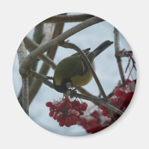 Vogel und Beere Magnet