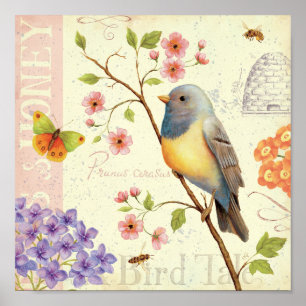 Vögel und Bienen Poster