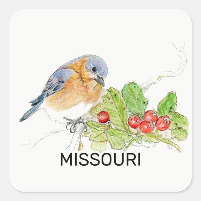Vogel und Blume von Missouri Quadratischer Aufkleber (Vorderseite)