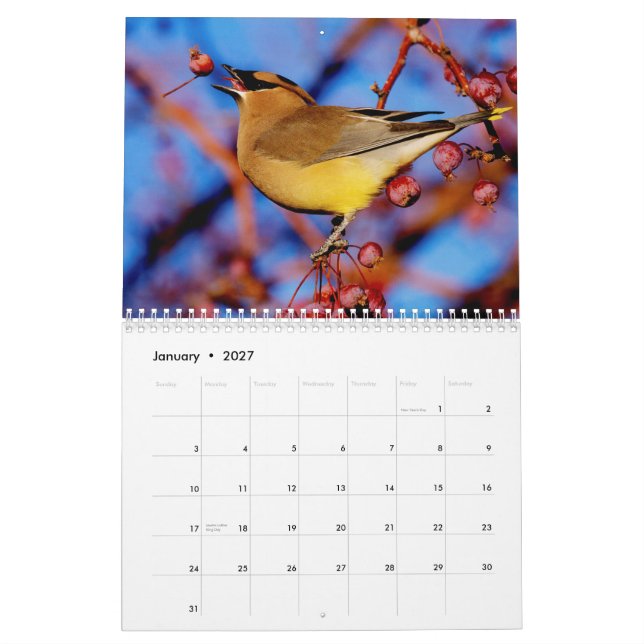 Vogel-und der Blüten-2015 Kalender (Jan 2027)