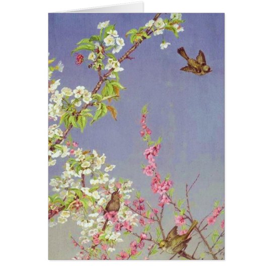 Vögel und Frühlings-Blüten Karte