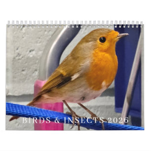 Vögel und Insekten 2026 Kalender