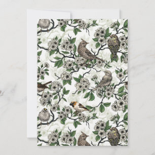 Vögel und Kirschblüten auf Weiß