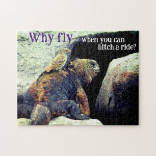 Vogel und Marine Iguana