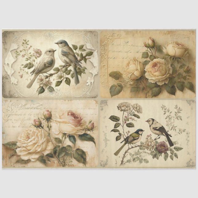Vögel und Rose in Frankreich Seidenpapier (Vorderseite)