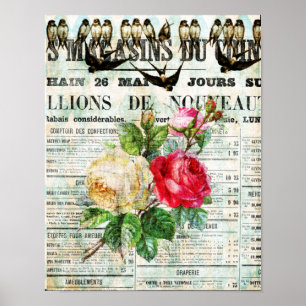 Vögel und Rosen Poster