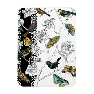 Vögel und Schmetterling auf einem schwarzen u. Magnet