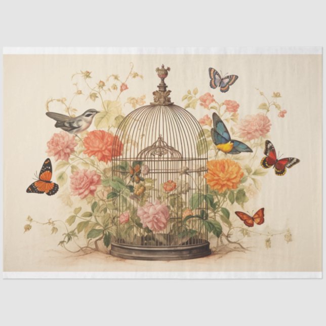 Vögel und Schmetterlinge: Entkopplung des Geburtsk Seidenpapier (Vorderseite)