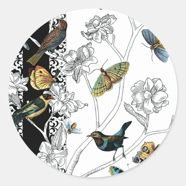 Vögel und Schmetterlinge im schwarz-weißen Hinterg Runder Aufkleber (Vorderseite)