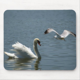 Vogel und Schwan über dem Morton-See Mousepad