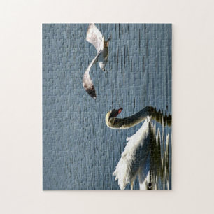 Vogel und Swan