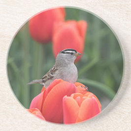 Vögel und Tulips Floral Sandstone Untersetzer