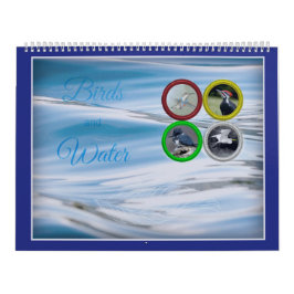 Vögel und Wasser (großformatig) Kalender